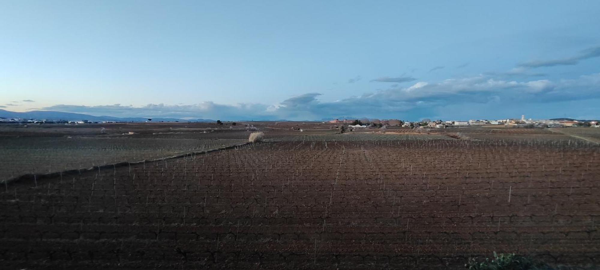 Cal Llop Villa Sant Cugat de Sesgarrigues Екстериор снимка