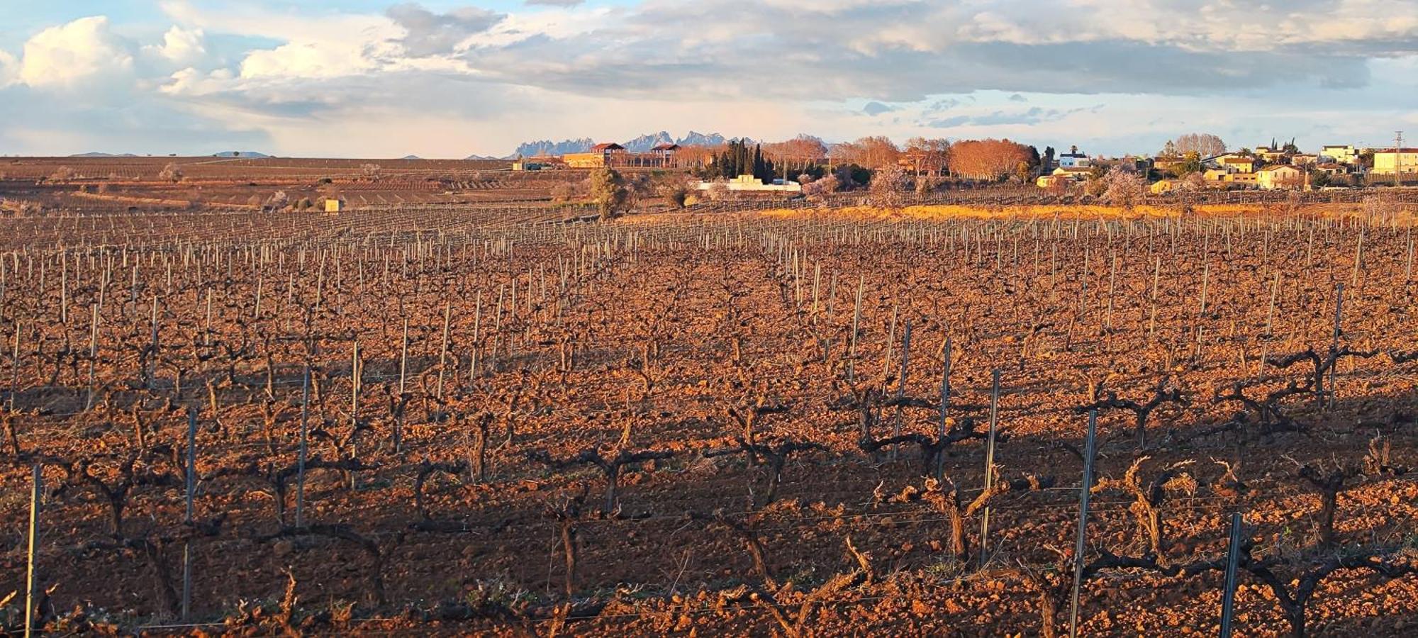 Cal Llop Villa Sant Cugat de Sesgarrigues Екстериор снимка